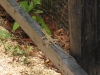 Belize 065